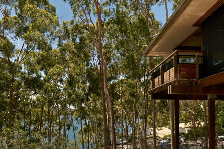 Modern House: Rickard House III by Bruce Rickard