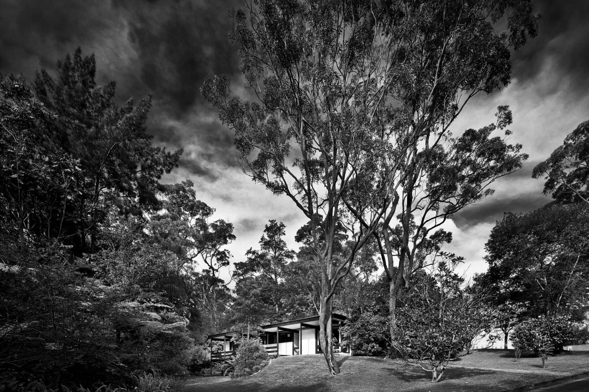 modern-house_lowline-b_st-max_4_framing